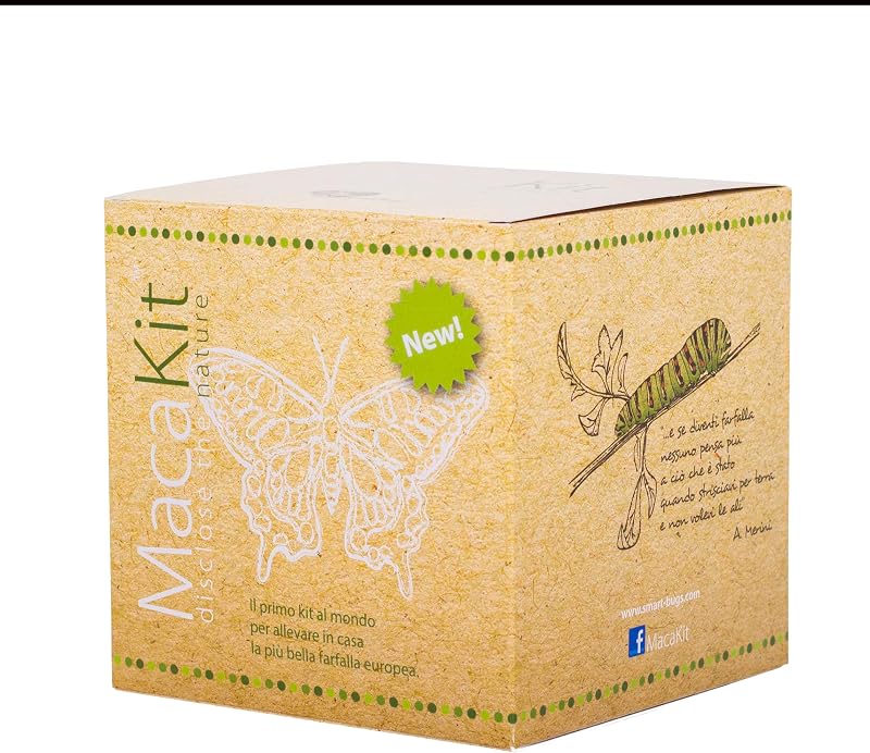MacaKit, Il Kit per Allevare in Casa Le Farfalle Macaone - Esperimento educativo, Kit educativi scientifici per Bambini, Idee Regalo Bambino Bambina (KIT CON BRUCHI)