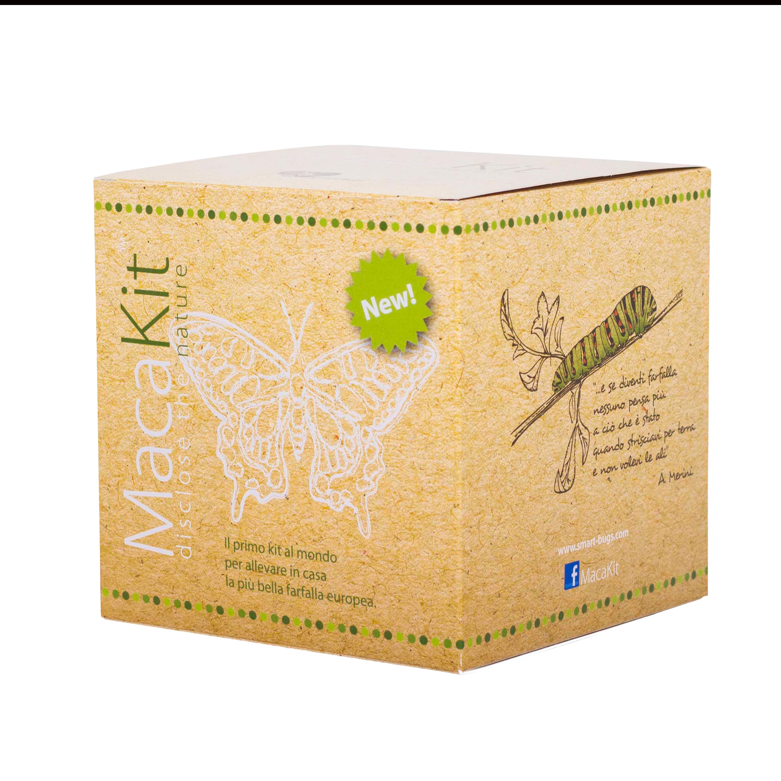 MacaKit, Il Kit per Allevare in Casa Le Farfalle Macaone - Esperimento educativo, Kit educativi scientifici per Bambini, Idee Regalo Bambino Bambina (KIT CON BRUCHI)