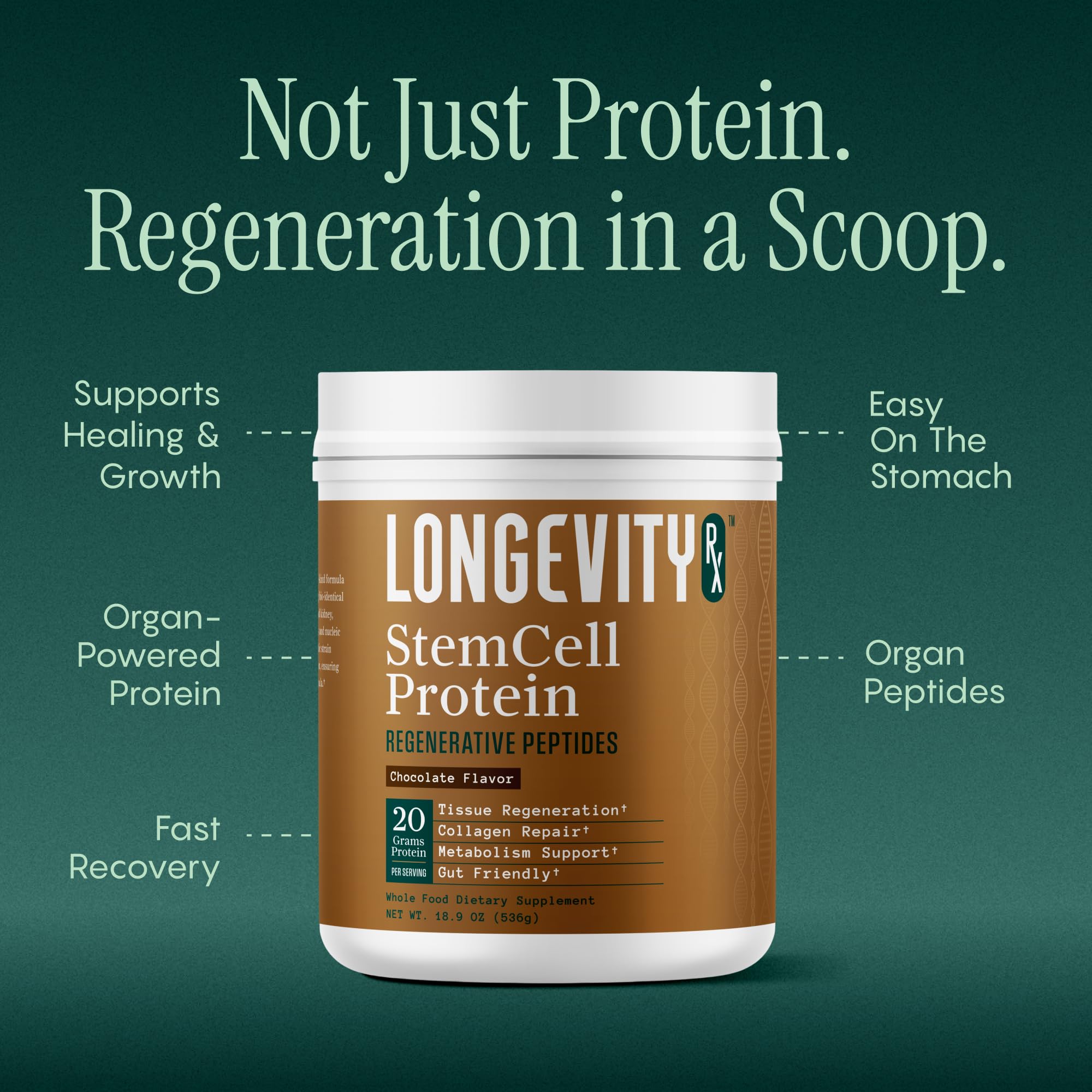 Amazon.com: Longevity Rx Stem Cell Protein Powder Chocolate – Bone Marrow &  Bone Broth Protein, Bacillus Subtilis AB-22, Natural Peptides – Cellular  Recovery – 30 Servings : Health & Household
