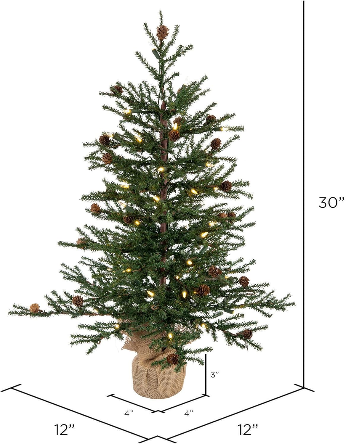 Vickerman 30" Tall Caramel Pine Artificial Christmas Tree, 50 Warm White Italian LED Mini Lights, Seasonal Indoor Home Decor with Decorative Burlap Base