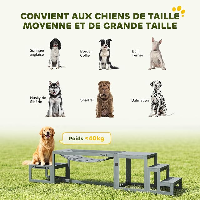 Foto 6 de 8 de PawHut Set de Agilidad de Madera para Perros 3 Piezas Gris