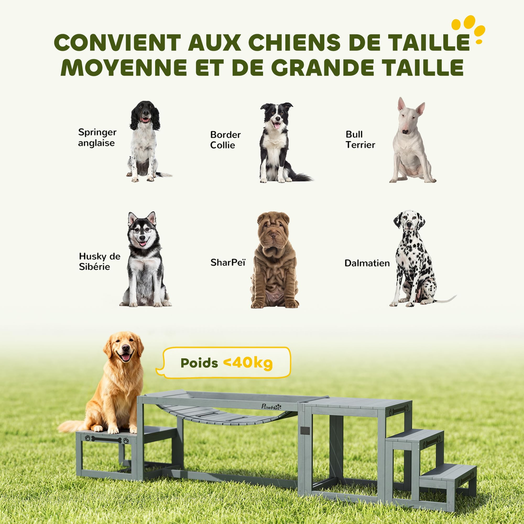 PawHut Equipo de Entrenamiento Agilidad para Perros 3 Piezas Gris | Kit de Agilidad para Perros, 3 Piezas, Plataforma de Pausa, Escalera, Madera Maciza, Material de Propiedocepción