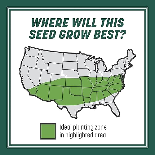 Miniatura 6 de Pennington Smart Seed Sun and Shade - Mezcla de semillas de césped alto para césped del sur, 20 libras