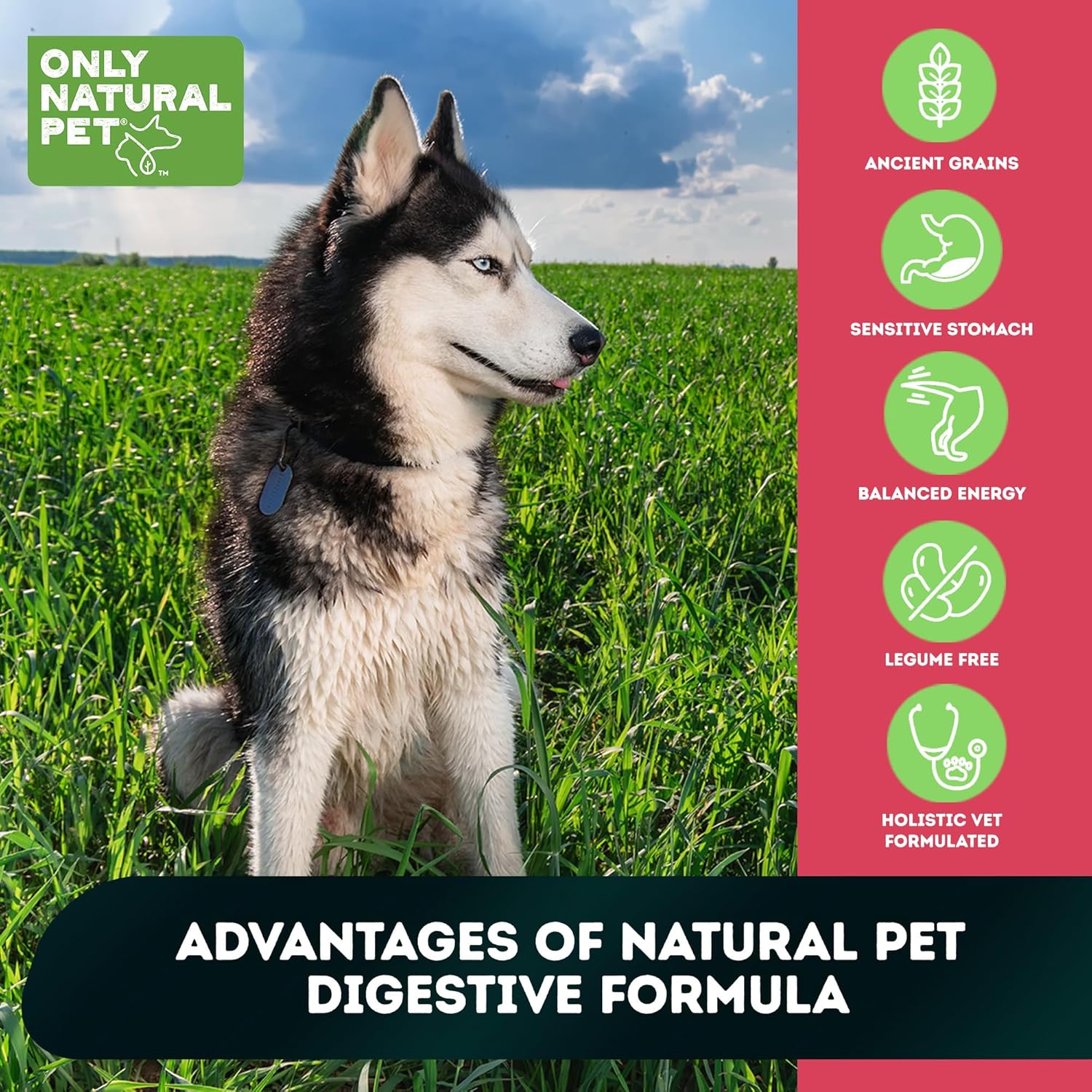 Only Natural Pet Raw Blends - Grain-Free Dog Food, High Protein Infused, All-Natural Whole Fresh Ingredients & 100% Raw Meat Bites for Digestion, Ideal for Large Breeds, 4 lb Bag