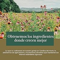 Vista 9 de Gaia Herbs Raíz de Ashwagandha - Suplemento para aliviar el estrés y apoyar el sueño - Apoya niveles de energía equilibrados y perspectiva positiva*