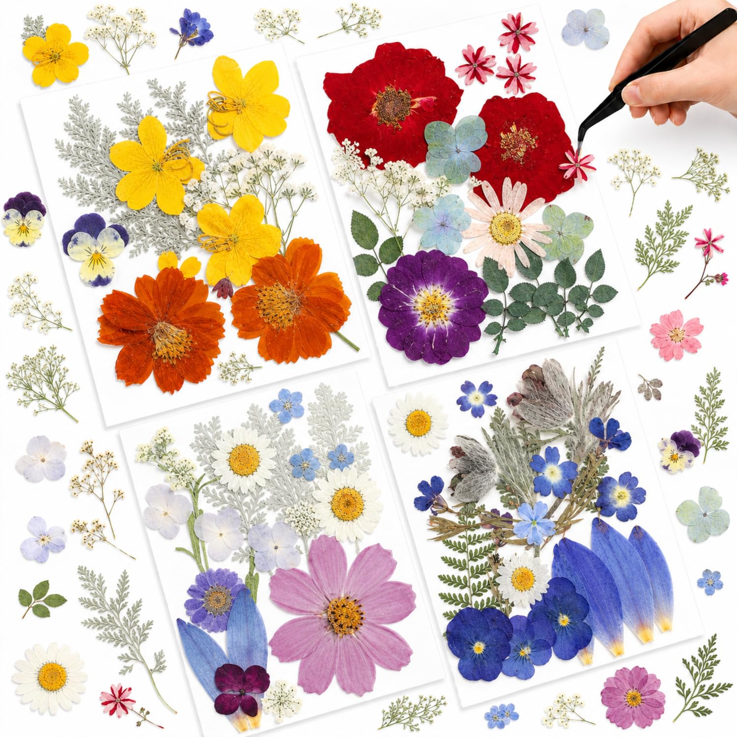 Nuanchu Real Dried Pressed Flowers Wildflowers for Resin Mold Craft DIY