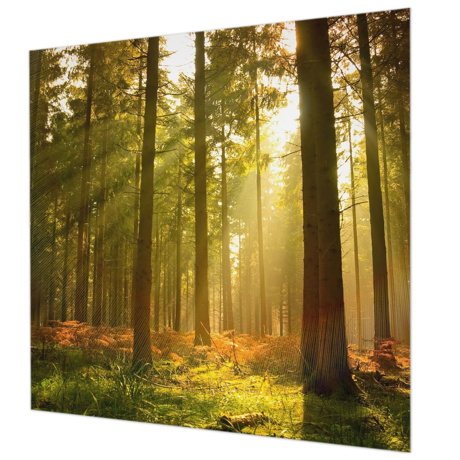 Papier peint intissé de haute qualité Tulup forêt 250x250 cm salon