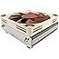 Noctua NH-L9i, Premium Low-Profile CPU Cooler for Intel LGA115x (Brown)