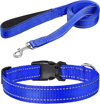FunTags Dog Leash Bundle with 1.0" x 14"-20" Dog Collar, 6FT Reflective Nylon Leash for Medium Dogs, Blue