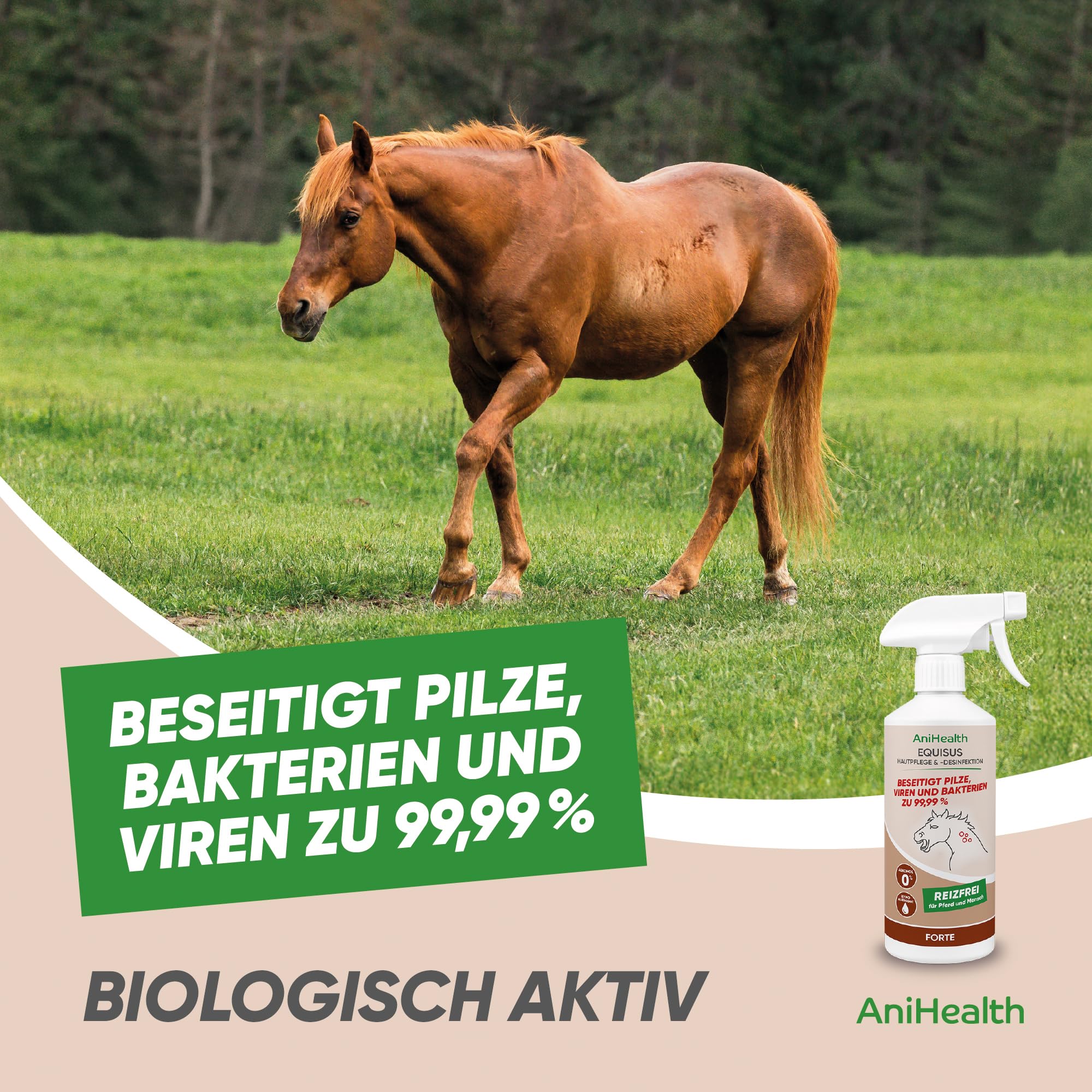 Bioseptika HOCl – beseitigt 99,99% aller Pilze auf Haut und Haar von Pferden – Haut- und schleimhautverträglich, Hypoallergen, Alkoholfrei, keine Resistenzbildung, keine Fellverfärbung | EQUISUS 500ml