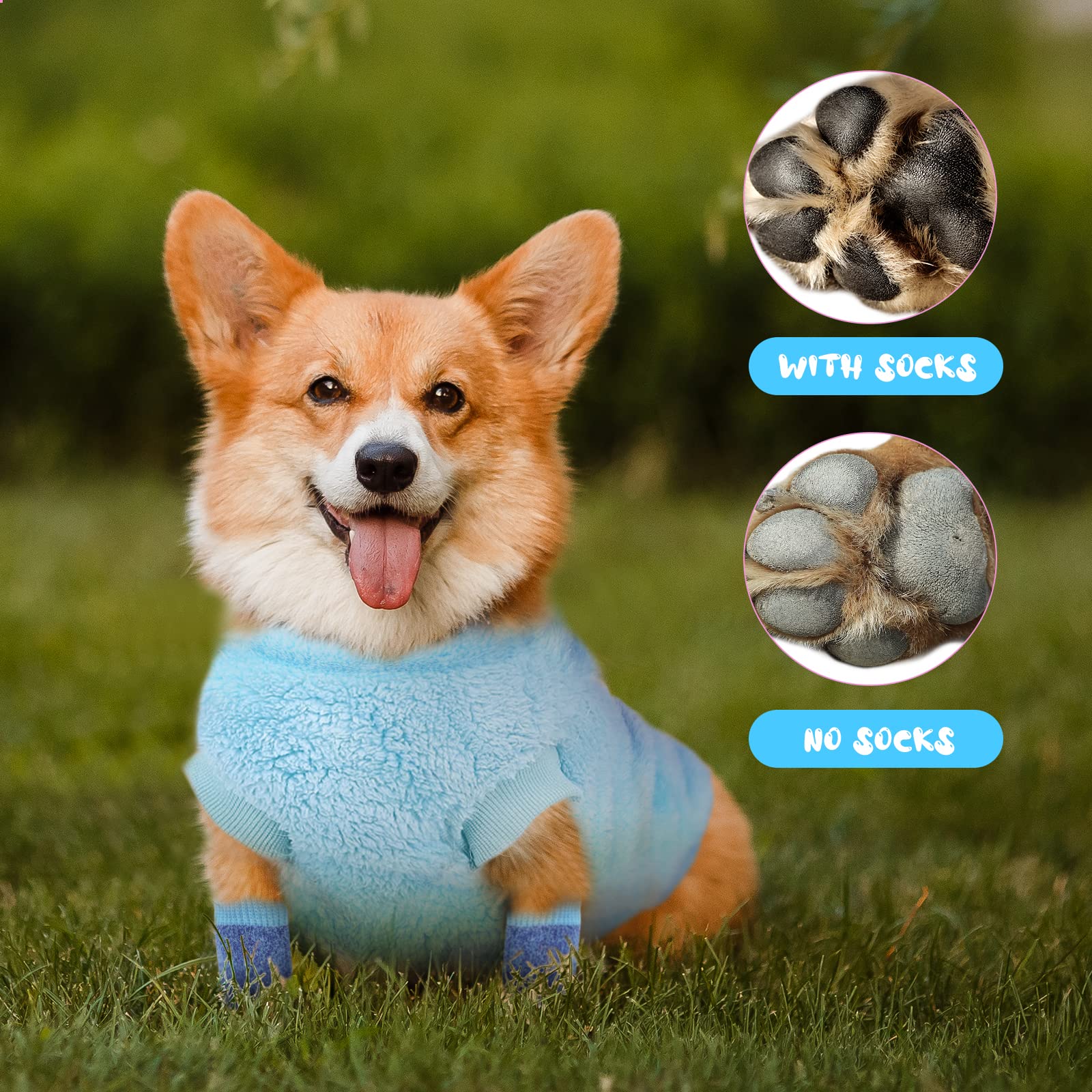 Pull Chien, Vêtement Chihuahua Avec 4 Pcs Chaussette, Veste en Velours Super Doux et épais, Hiver Chaud Pour Petit et Moyen Chien Chat (Bleu XL)