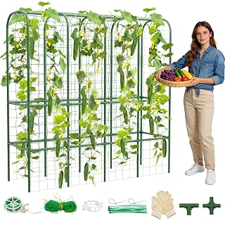 62" Tall Cucumber Trellis for Raised Bed, Garden Trellis for Climbing Plants Outdoor, U-Shape Metal Arch Vegetables Trellis Plant Support for Zucchini Squash Vines - Amazon product rated Grade A