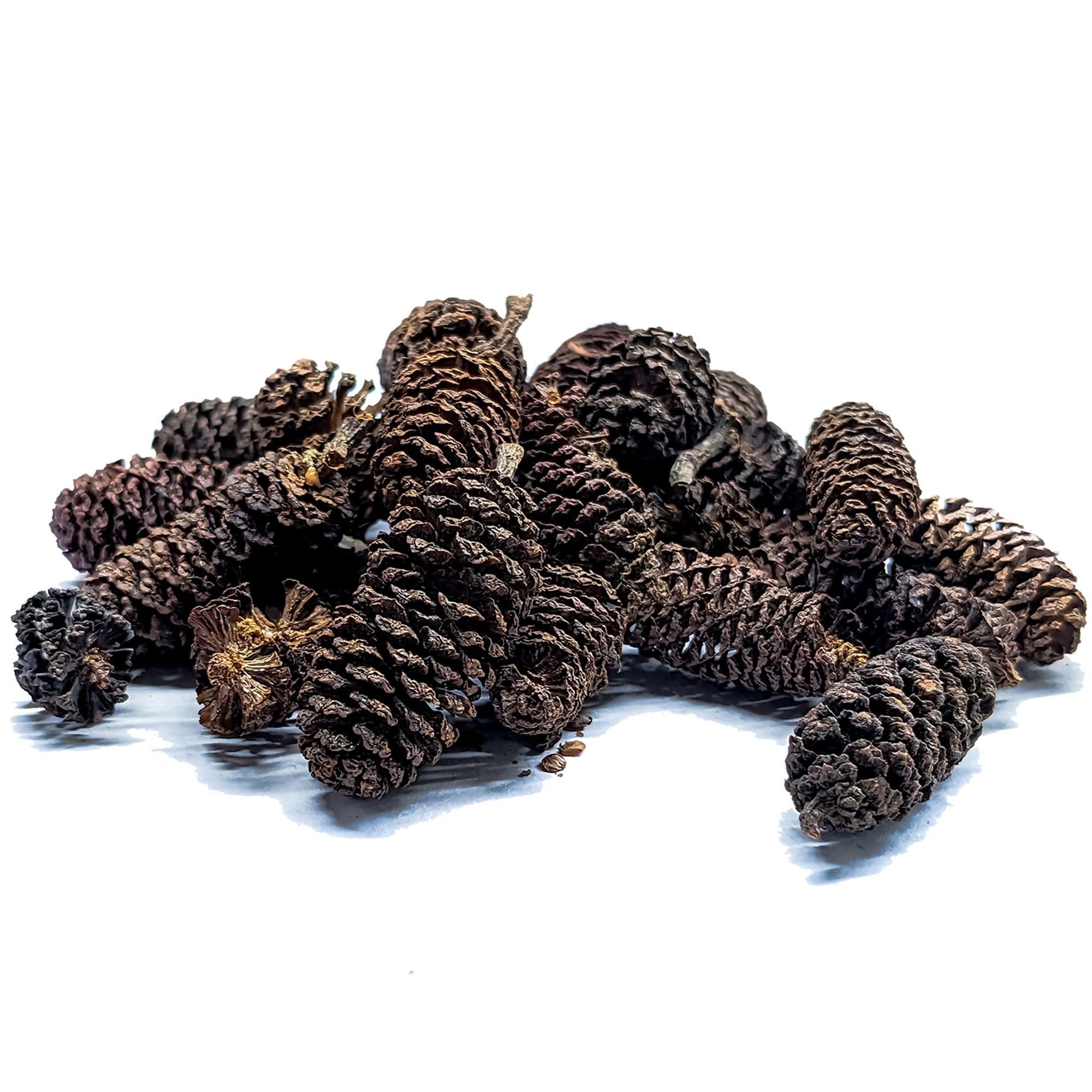Alder Cones for Shrimp Snails & Aquariums - Natural Blackwater Tannins for Shrimp Snails & Fish (30g), Brown - Image 3