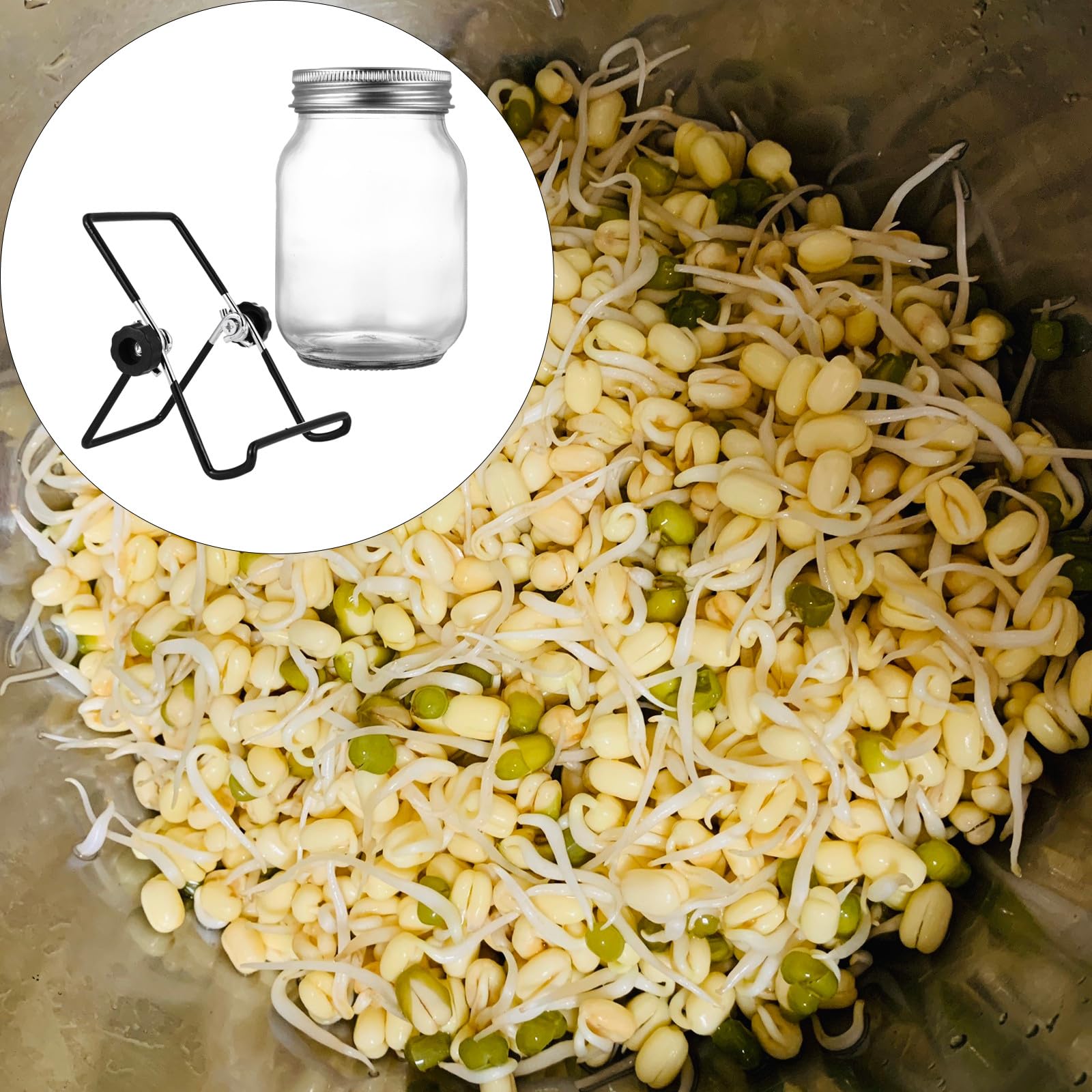 ibasenice Kit de Germination à Bocal Mason 500 ML Couvercle en INOX et Support Noir Incliné – Ensemble pour Germoir de Graines, Culture Maison, Drainage et Aération Efficace