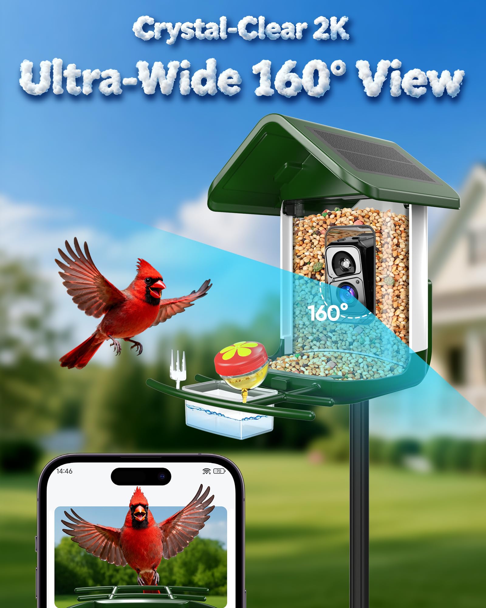 Comedero para pájaros con cámara: alimentador de cámara inteligente para pájaros alimentado por energía solar, alimentación en vivo 2K para patio trasero, identificación de inteligencia