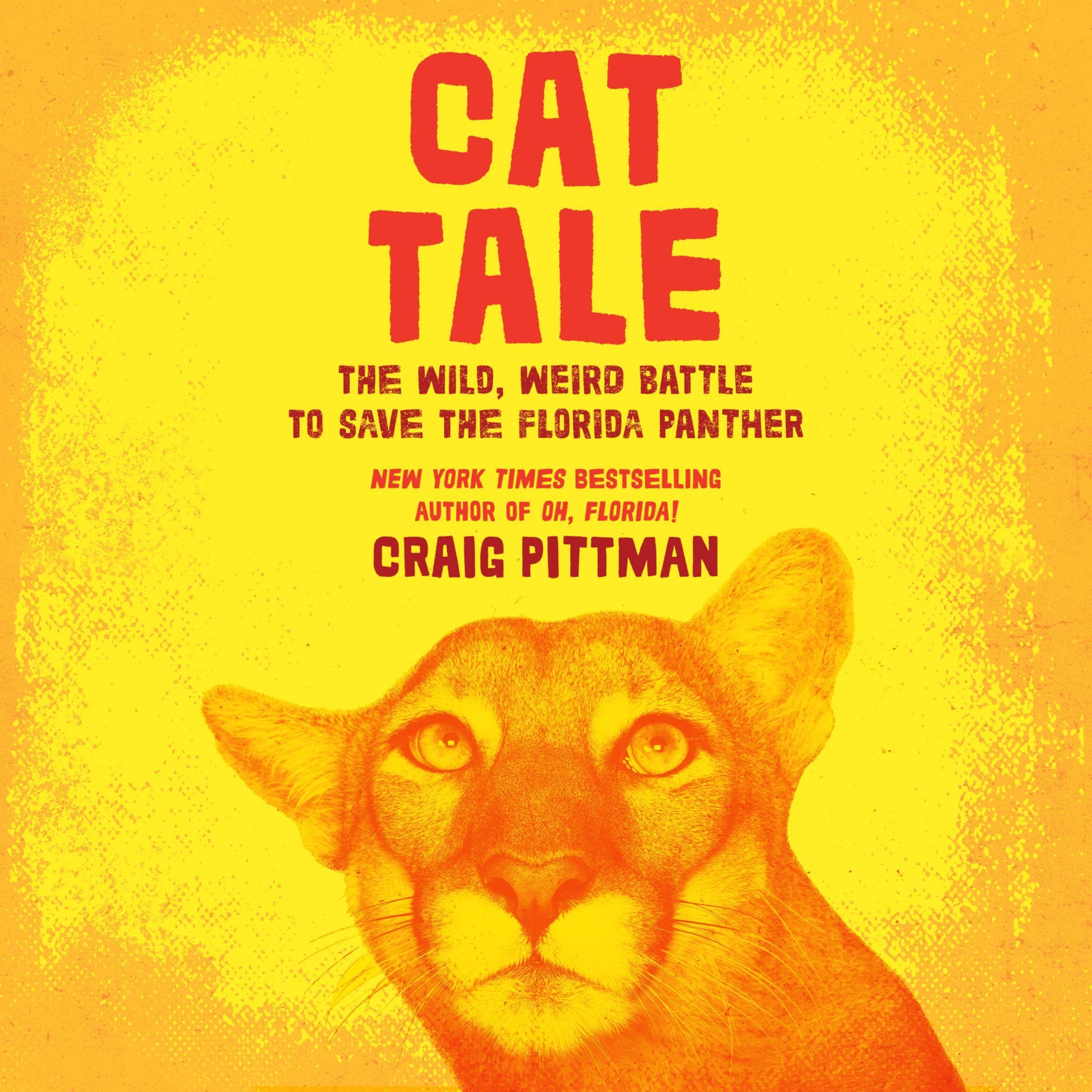 Cat Tale