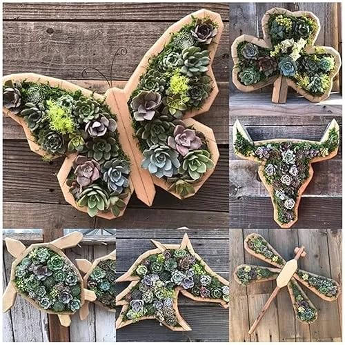 Miniatura 4 de Maceta de madera con forma de animal, bonita maceta de jardín suculenta para decoración de bonsái, maceta creativa y única de escritorio para