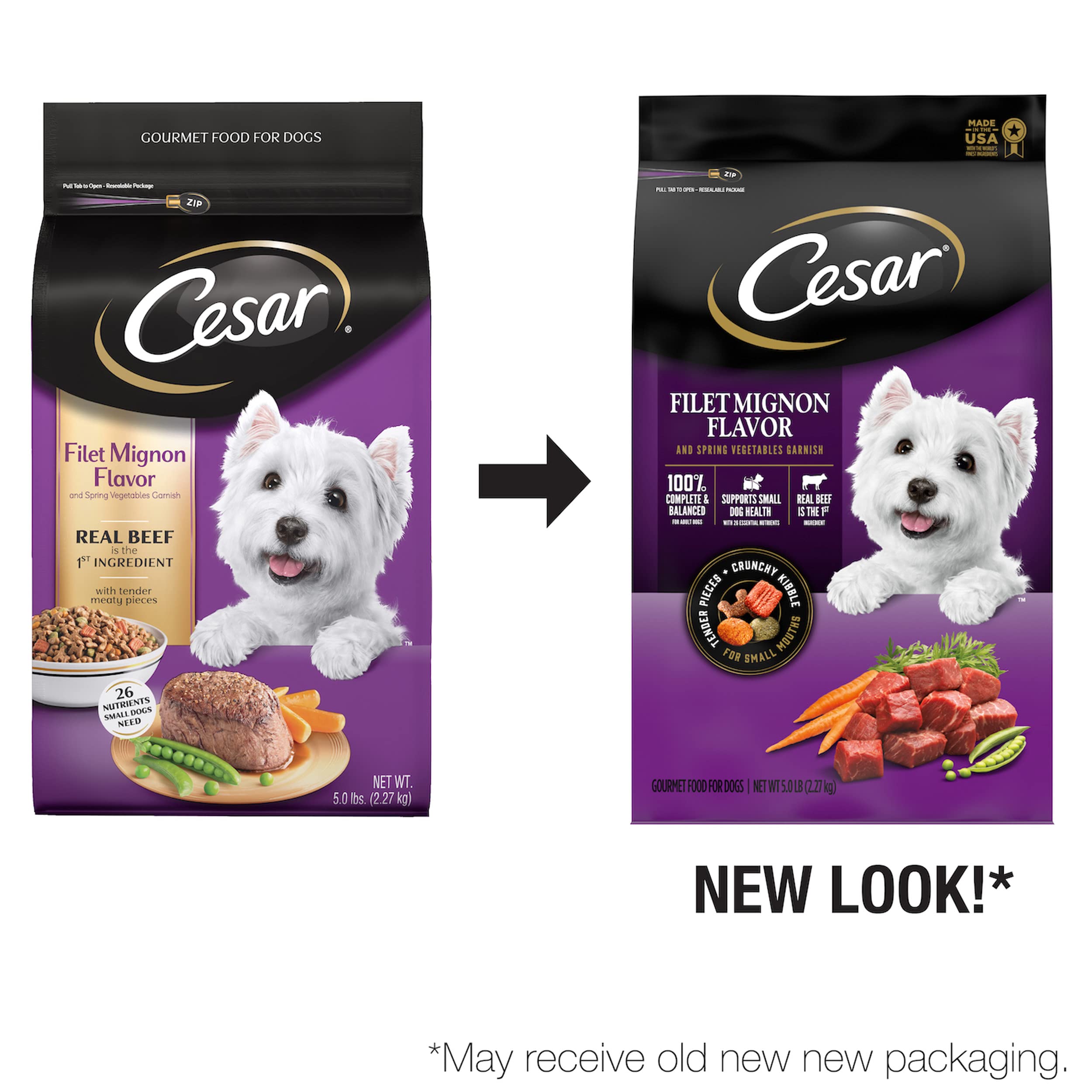CESAR Small Breed Dry Dog Food Filet Mignon Flavor with Spring