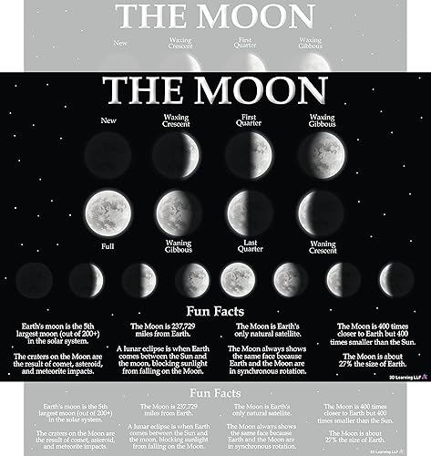 Póster de fases lunares con hechos divertidos, laminado de 14 x 19.5 pulgadas, gráficos educativos, póster y decoración de aula, suministros de