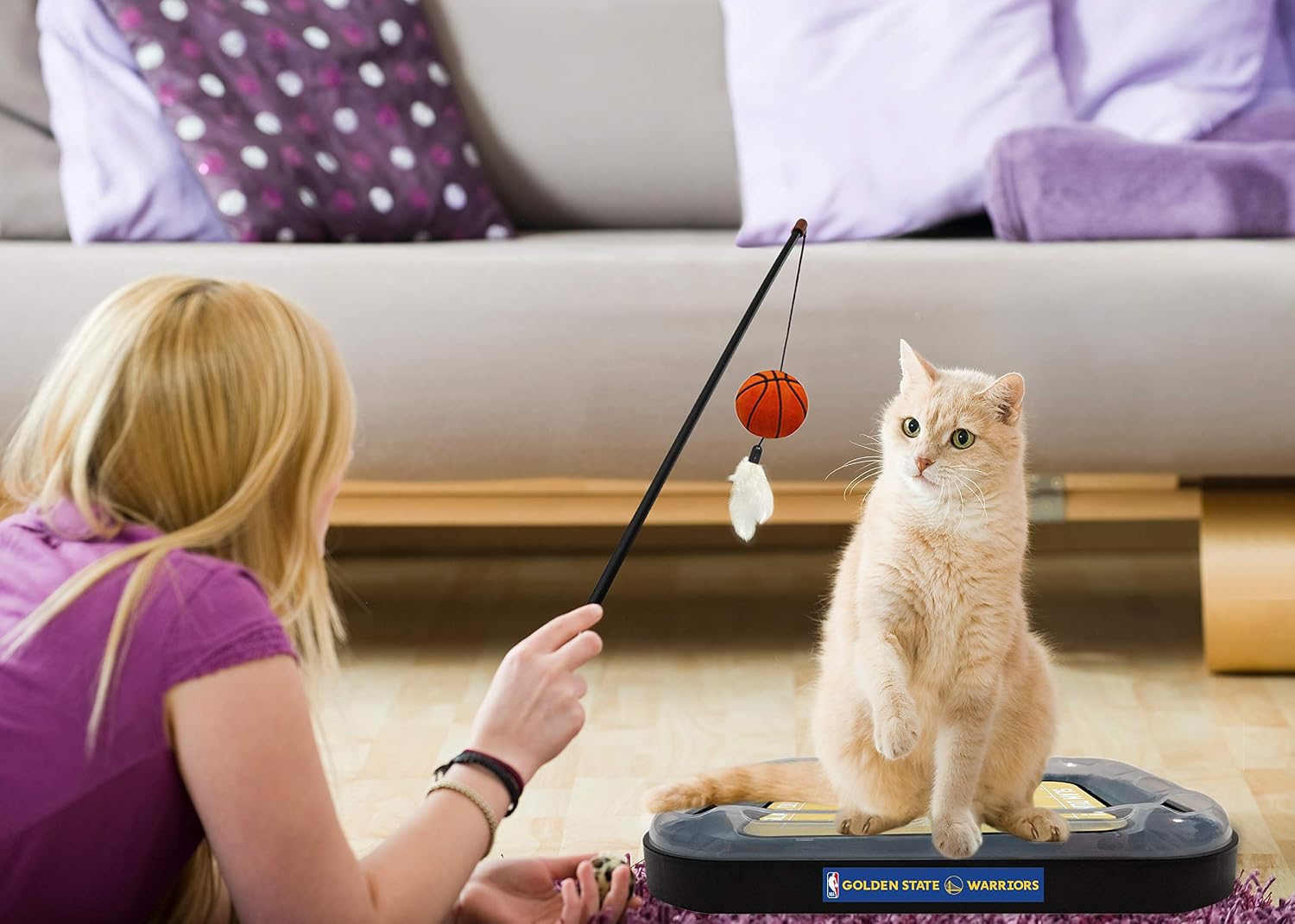Golden State Warriors Basketball Cat Scratcher Toy