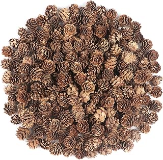 240PCS Pine Cones Christmas Natural Pinecones Small Pine Cones for Home Party Crafts Gift Wedding Christmas Tree Decoration