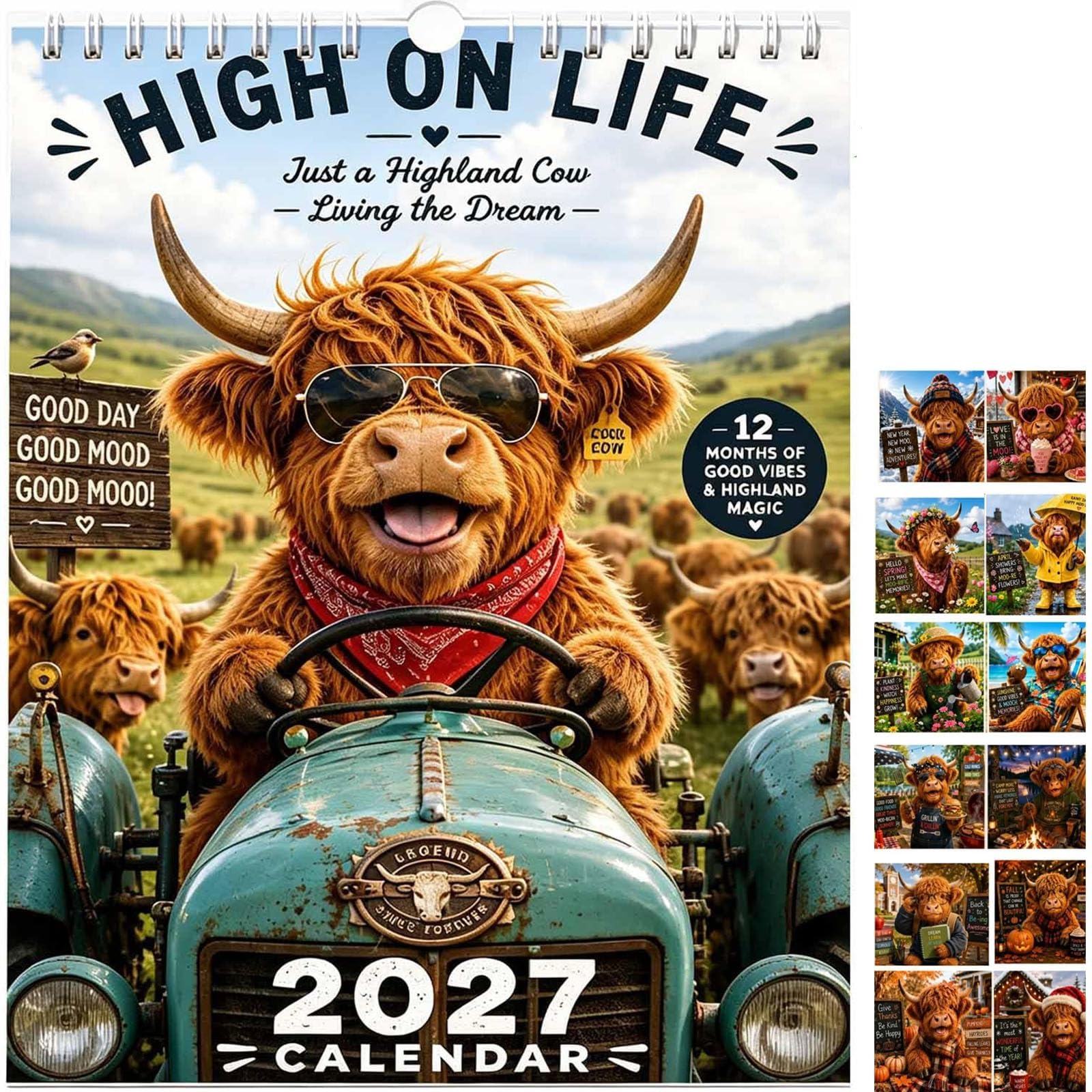 2027 Funny Highland Cow Wall Calendar, 12 Month Highland Cow Calendar，B