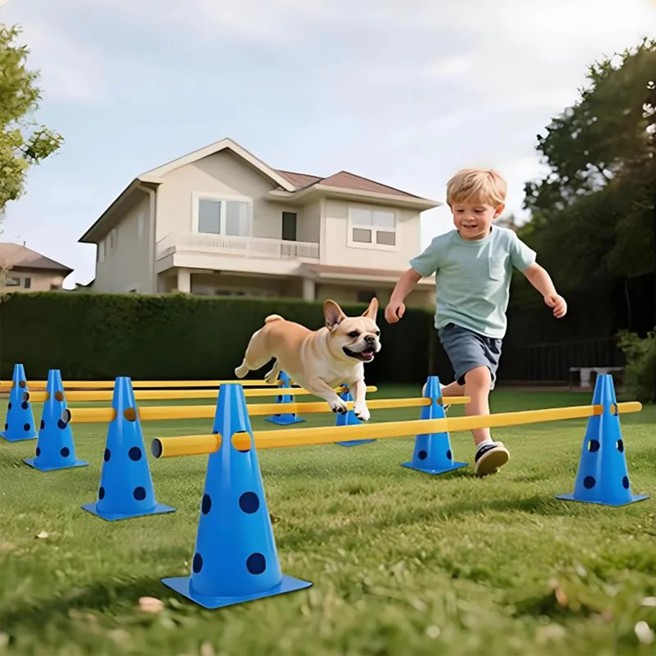 Hunde-Hindernisparcours-Set, Welpenspielhalle, verstellbare Hürden und Trainingsgeräte für den Hinterhof, blaue Kegel und gelbe Stangen (9, 06 Zoll Kegel, 39, 37 Zoll Stangen), Hundeübungsgeräte