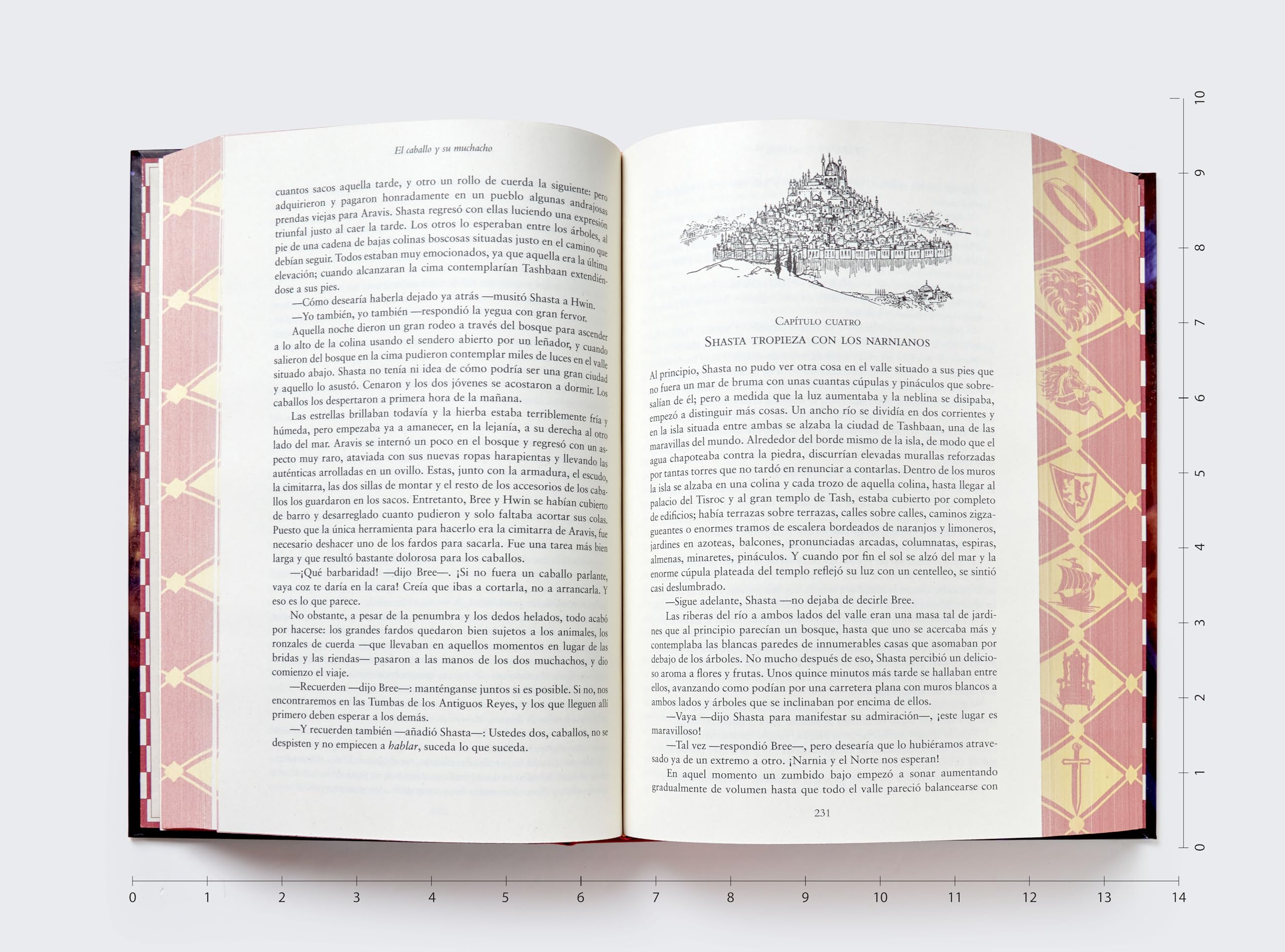 Las Crónicas de Narnia, Edición de lujo, tapa dura con estuche: 7 libros en 1