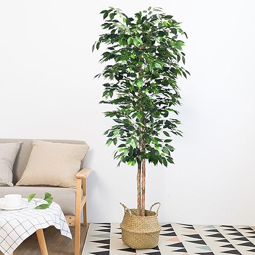 Plantas artificiales de ficus, árboles de eucalipto con hojas de seda, musgo falso y maceta resistente, plantas falsas para decoración de oficina y