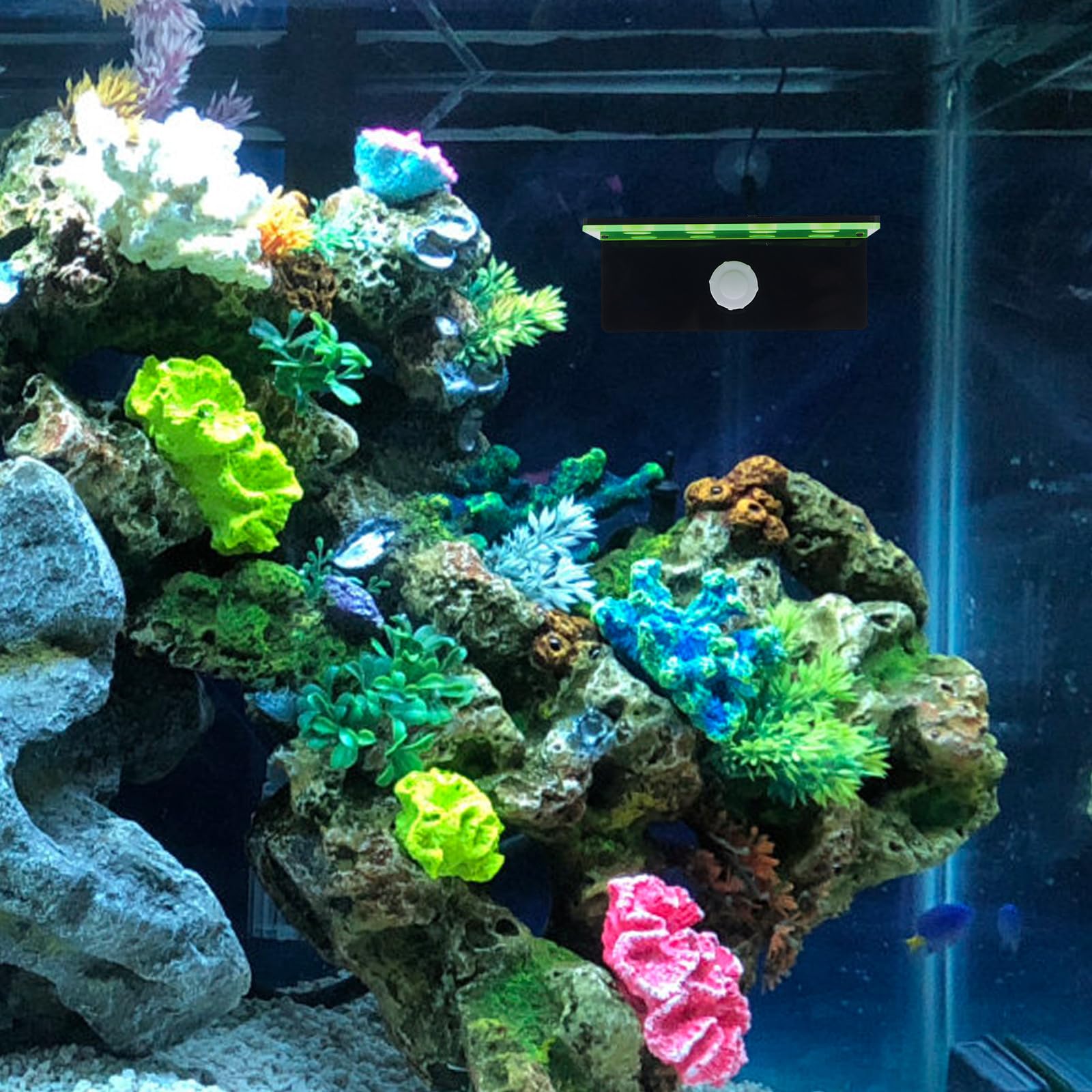 Akrylowy uchwyt na odłamki koralowe | Dwuwarstwowa fluorescencyjna zieleń, 14x7x5,5 cm, scenariusz użycia: rozmnażanie koralowców akwariowych