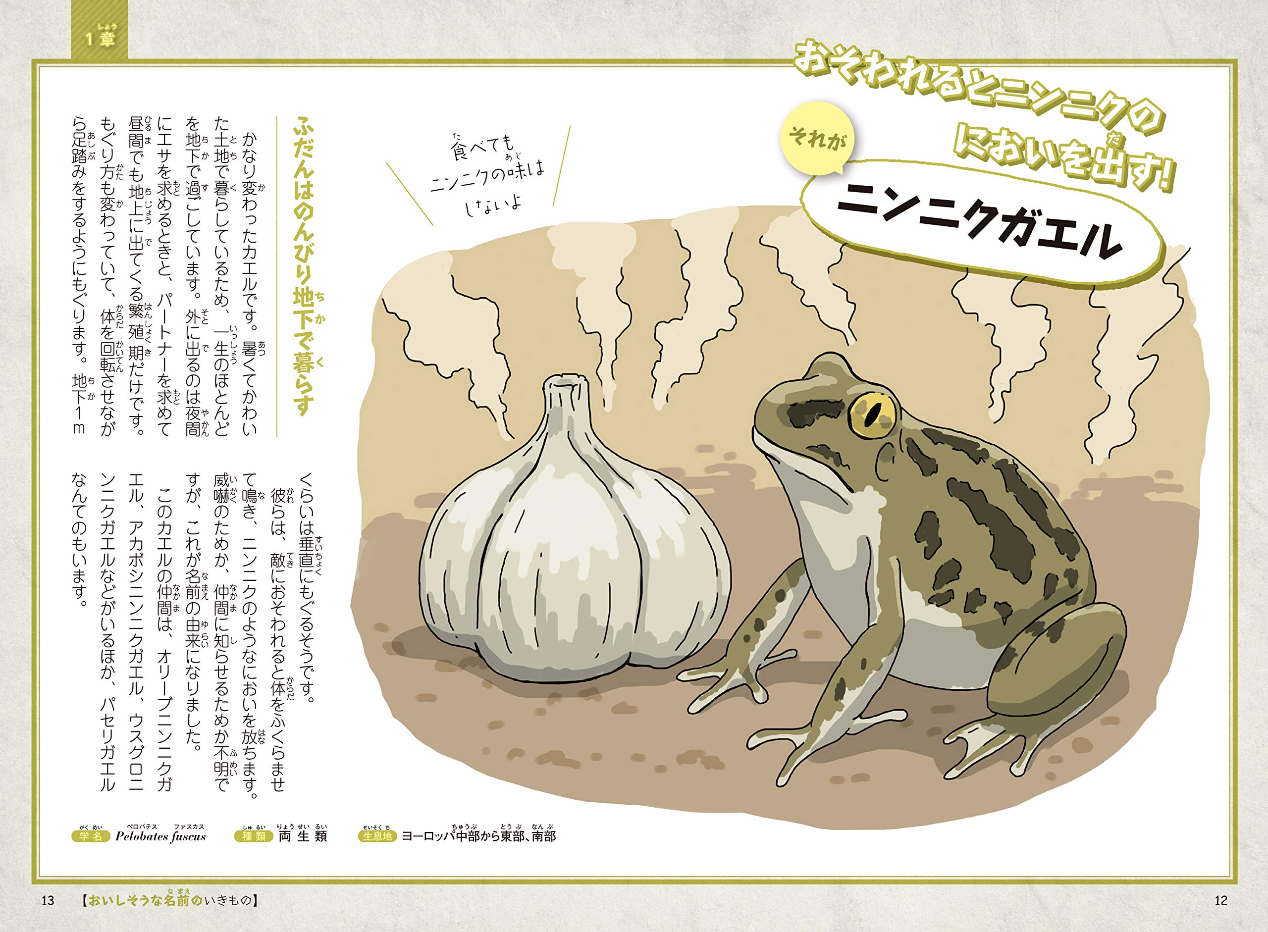 Amazon Co Jp へんななまえのいきもの事典 大渕希郷 川崎悟司 Japanese Books
