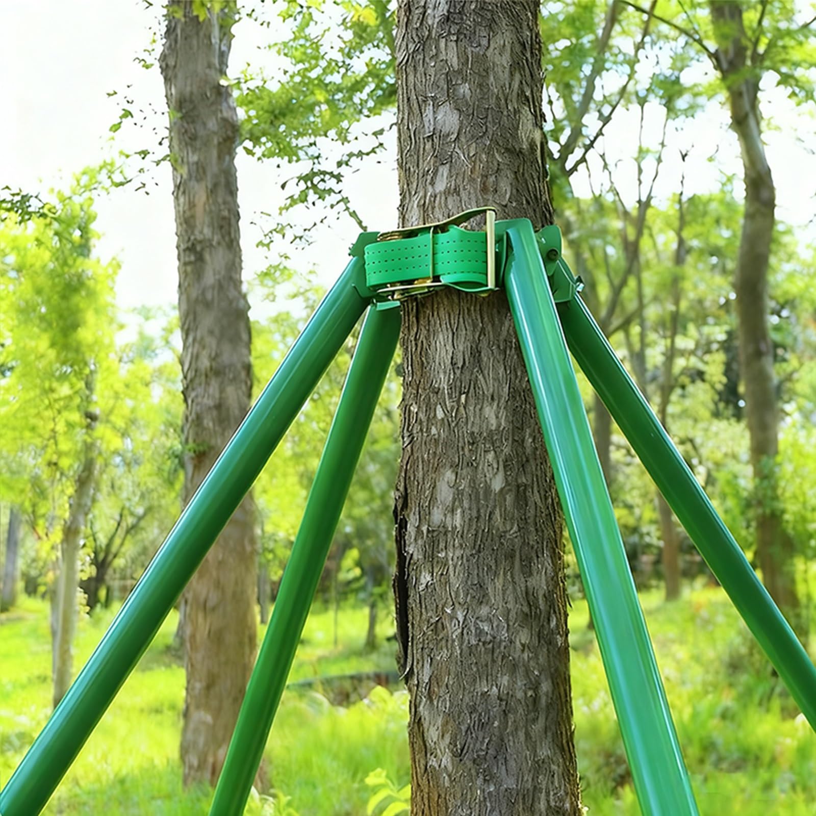 LZMZMQ Baumstütze 1/1.5/2/2.5/3M Baumstützrahmen, Baumpfahlhalterung Mit Verstellbarer Befestigung, Baumhalterstütze Zur Stabilisierung Von Pflanzen Im Freien,(1m/3.3ft)