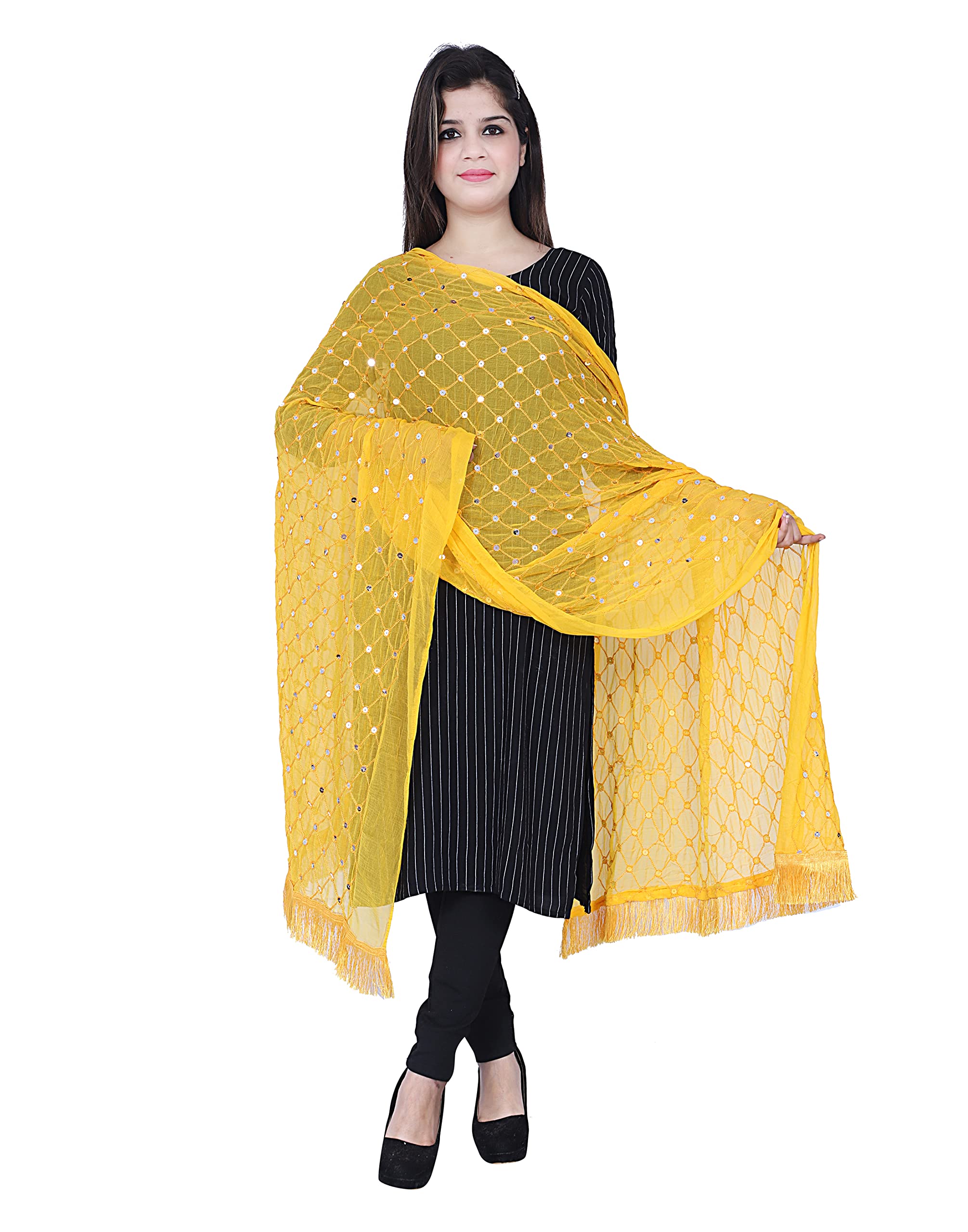 women embroidery work fancy lace border chiffon dupatta-image-9
