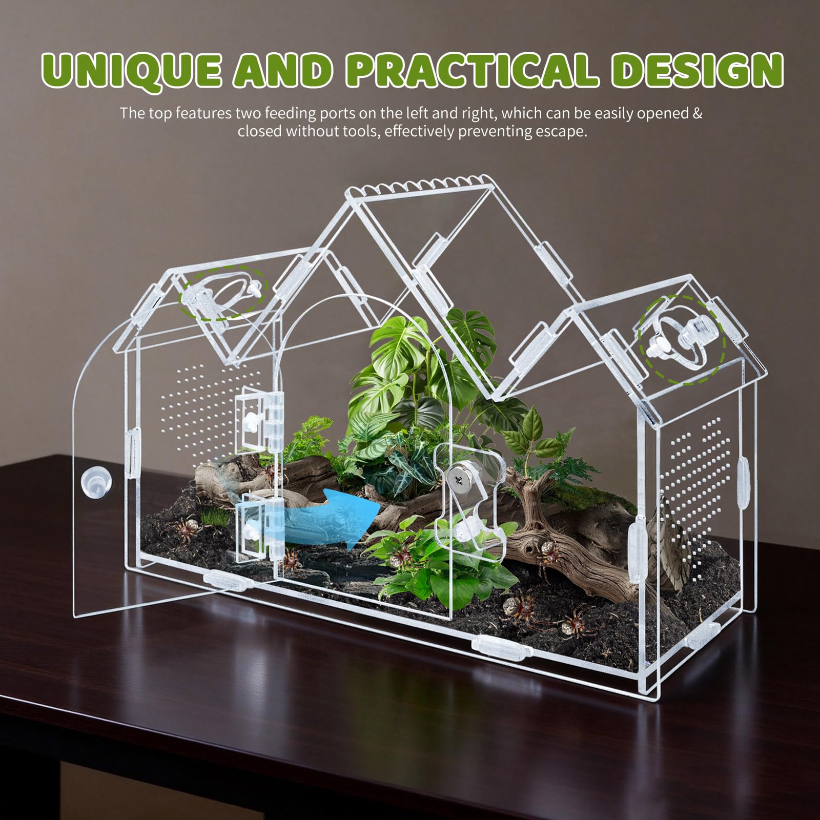 Acryl Terrarium für Springspinnen, 24x11x17cm Vogelspinnen Gehege mit Fronttür & Fütterungslöchern, Durchsichtiges Insektenhaus im Schloss-Design