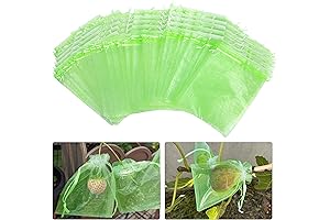 Green Fruit Protection Bags - Preserve Your Produce