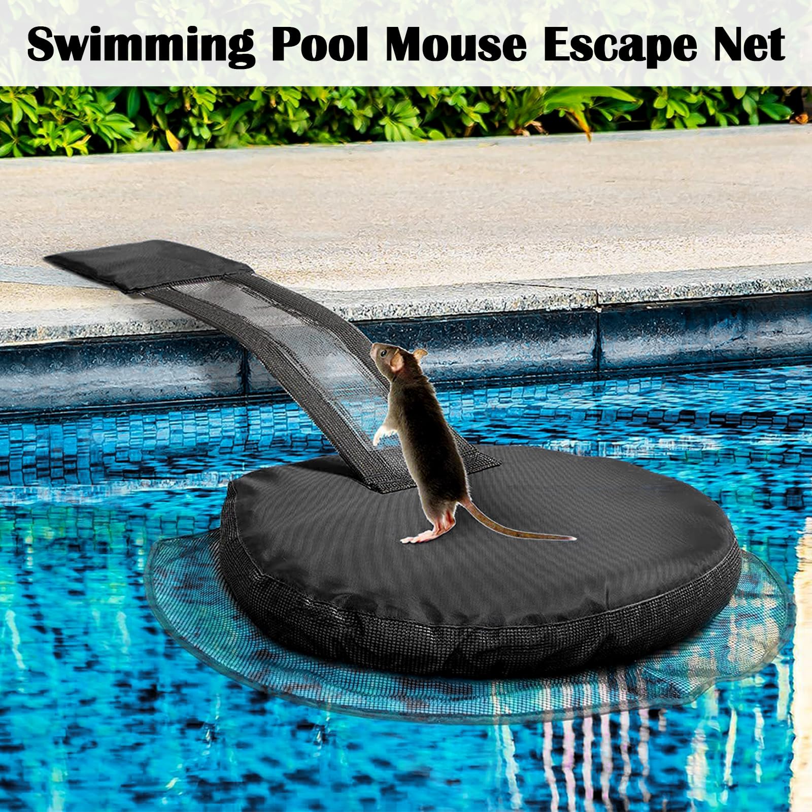 Sinking Ramp Pool Frog Rescue Ramp Pool Animal Escape Ramps (2-Pack) - Floating S For ...