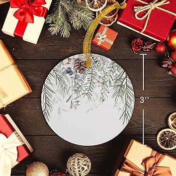 Amazon.com: LEOKOTI Christmas Ornaments 2024, Christmas