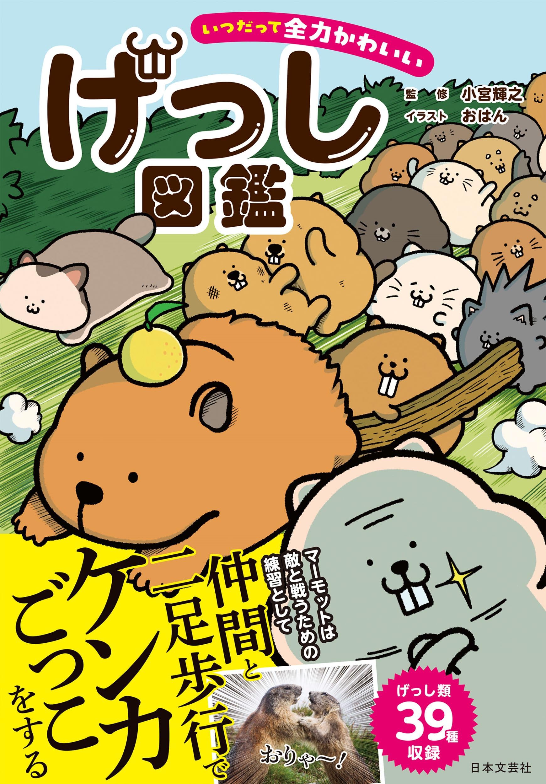 Amazon.co.jp: いつだって全力かわいいげっし図鑑 : 小宮 輝之