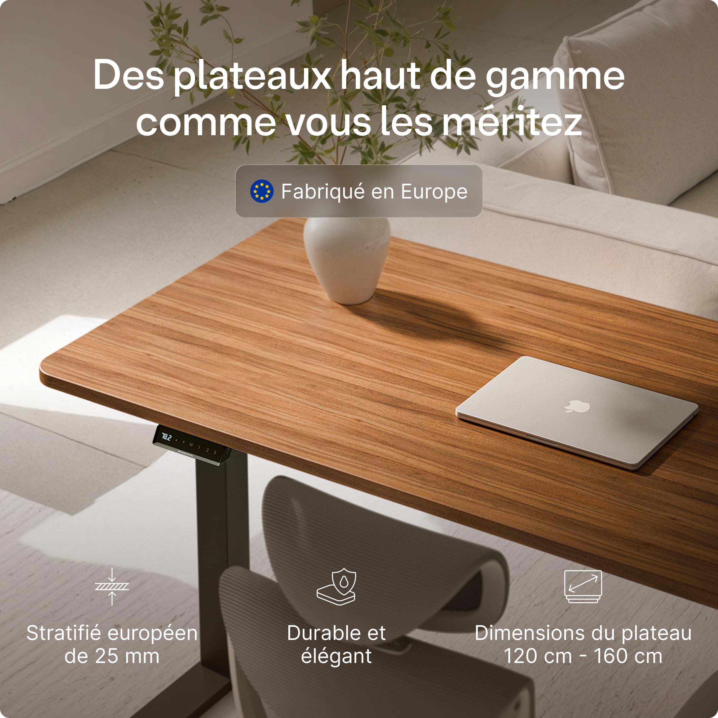 Desktronic Bureau Assis Debout Électrique 160x80cm - Bureau Réglable en Hauteur à Moteurs Électriques Doubles - Commande Tactile - USB - Mémoire - Plateau Bois Européen - Table Assis-Debout
