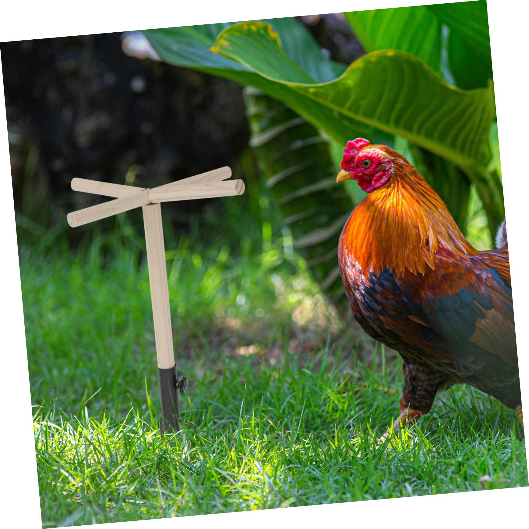 Holz Vogelsitzstange mit Spielzeug, Sitzstange für Vögel