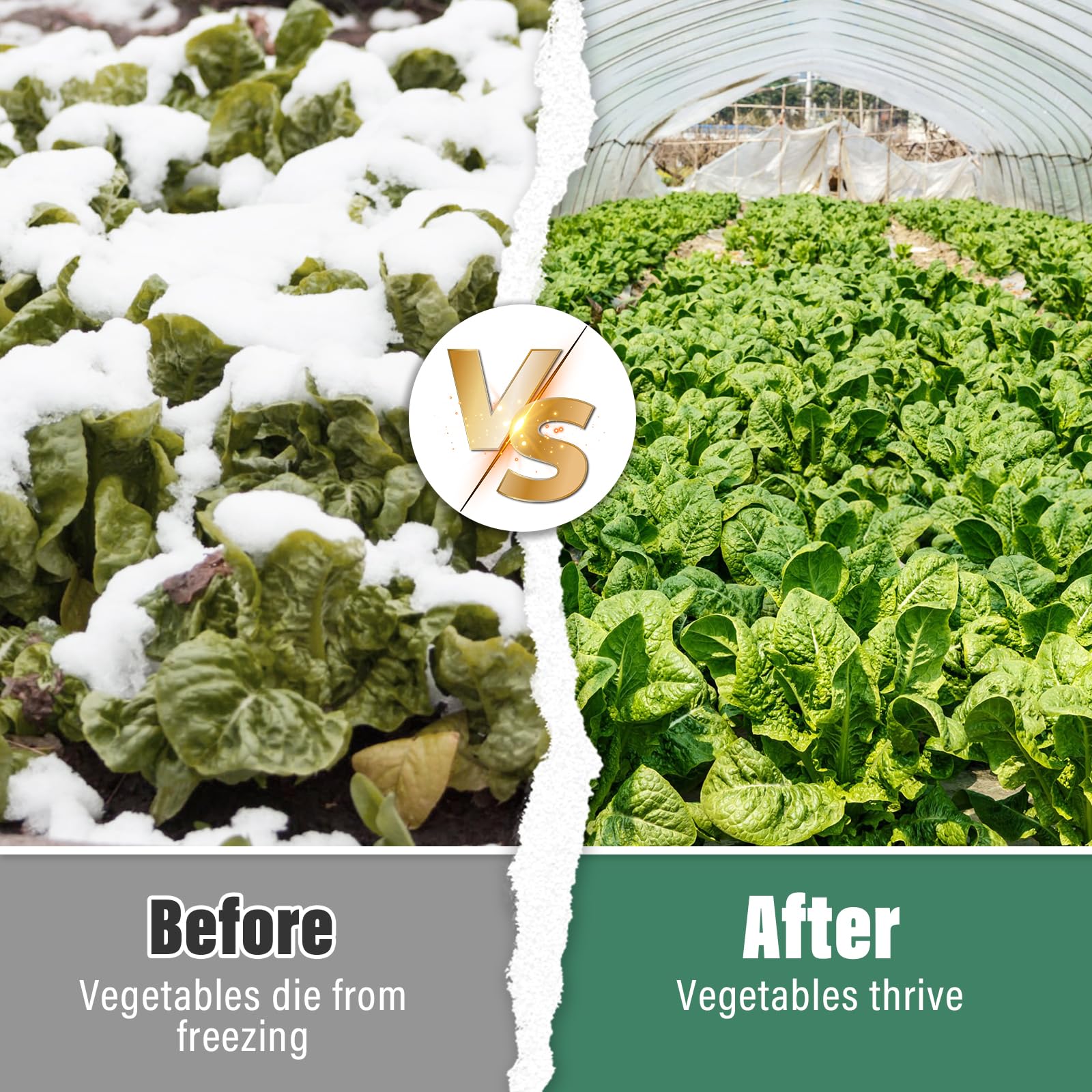 Legigo Cubiertas de plástico transparente para plantas de 8 x 25 pies, protección contra la congelación, lámina de plástico para invernadero de invierno de 6 mm, para heladas, agua, sol, viento,