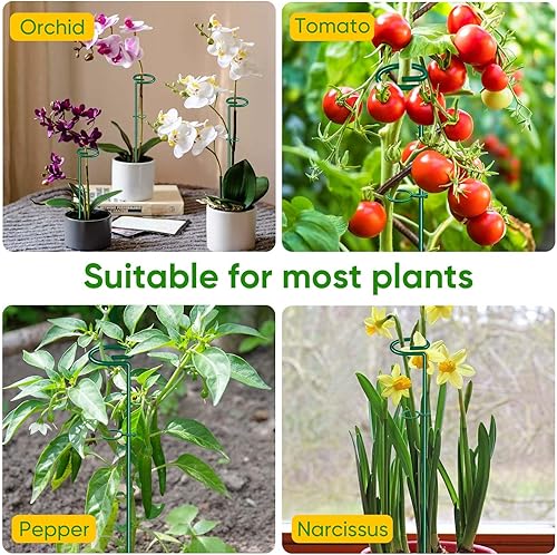 Miniatura 7 de HiGift Estacas de soporte para plantas de 17 pulgadas de grosor, 0.157 in de grosor, para jardín, con un solo tallo, amarilis, jaula de plantas con