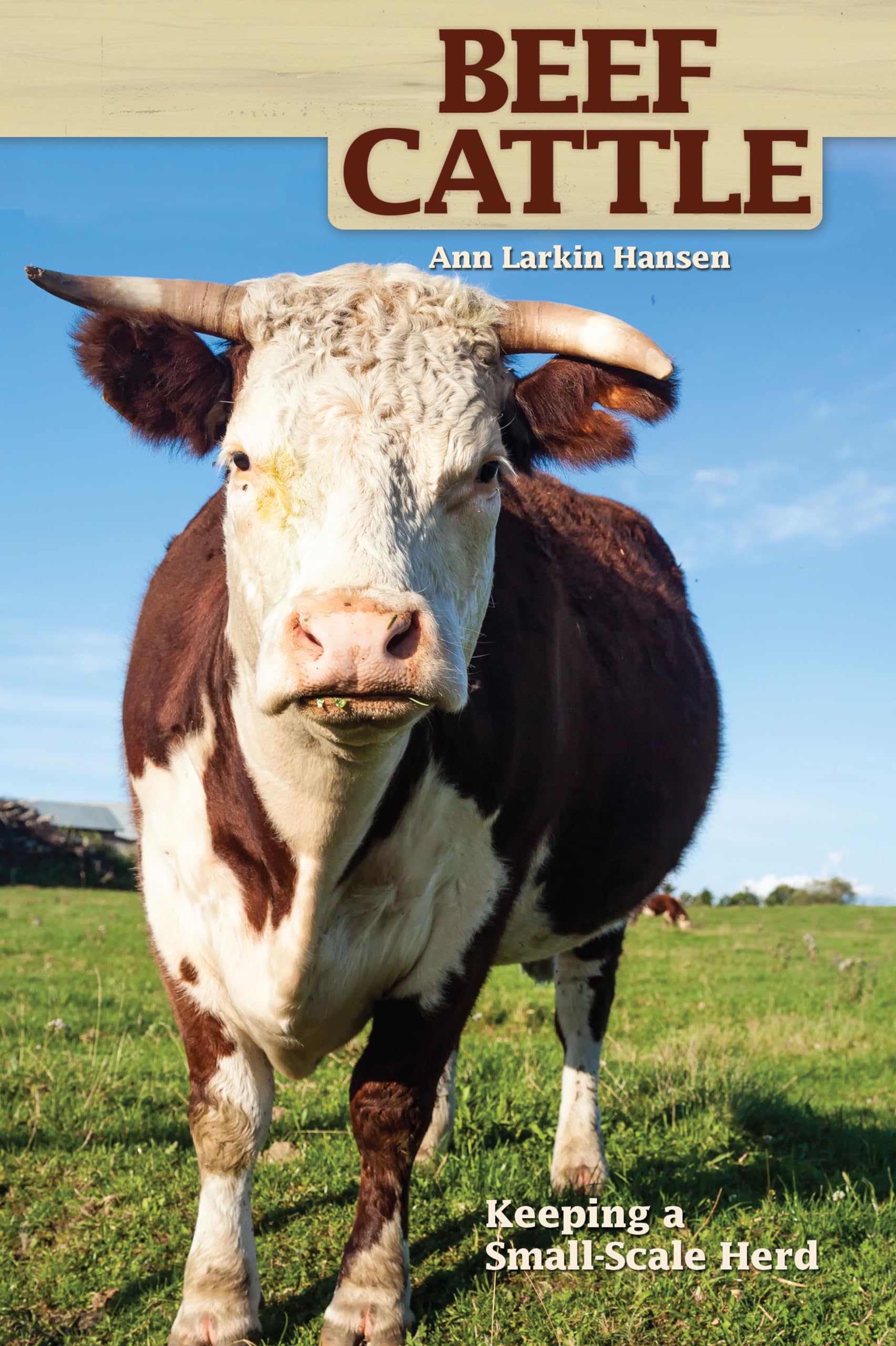 Beef Cattle: Keeping a Small-Scale Herd (CompanionHouse Books) Practical, Easy-to-Follow Beginner's Advice on Purchasing Cows, Fencing, Feeding, Handling, Breeding, Processing, and More