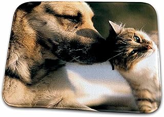 3dRose Cats - Cats and Dogs - Dish Drying Mats (ddm-1055-1)