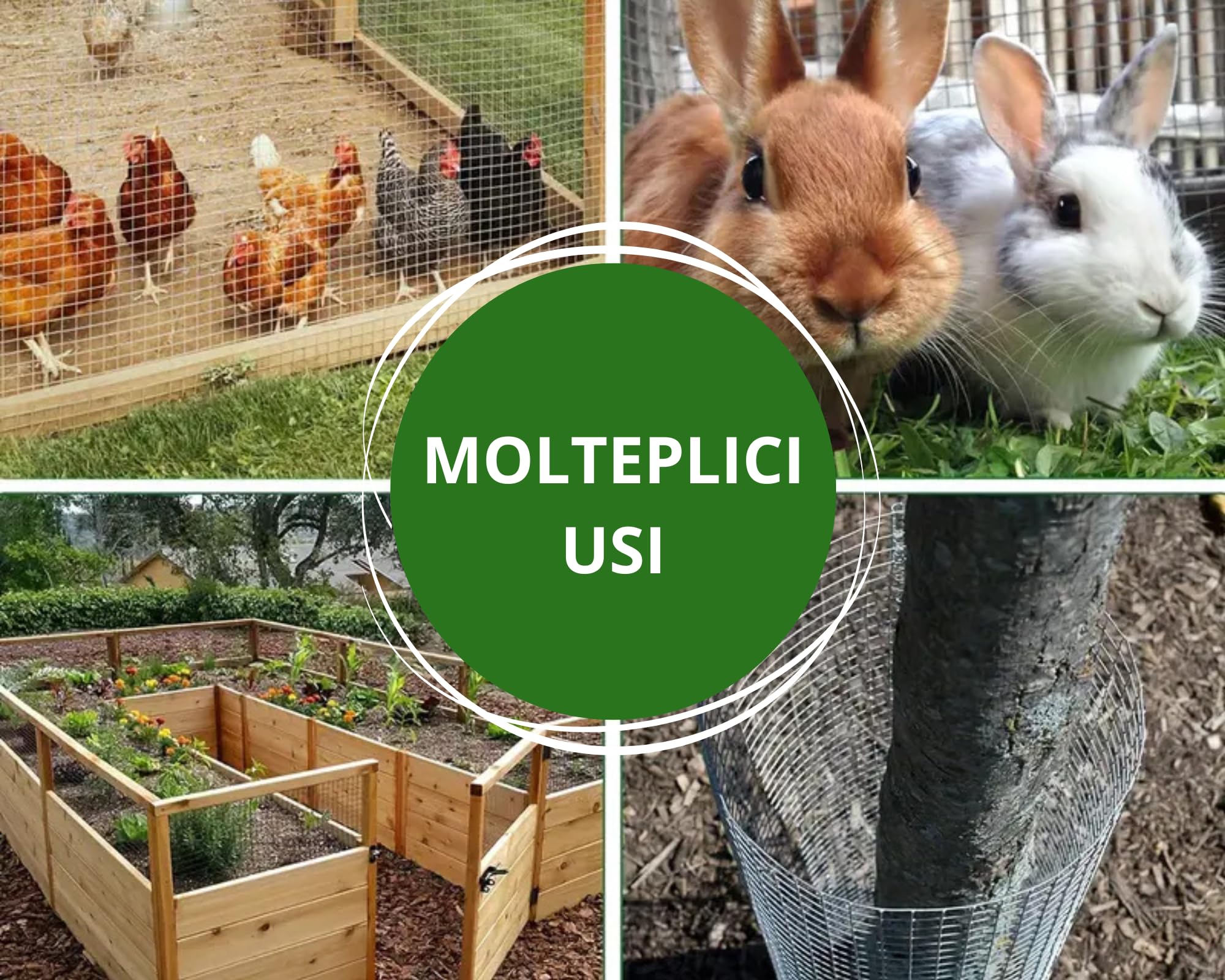 Rete Metallica Zincata Elettrosaldata Per Recinzioni Maglia Piccola Quadra 12,5x12,5 mm per Voliere Gabbie Uccelli Orti e Giardino Rotolo h.100 cm. x 25 mt.