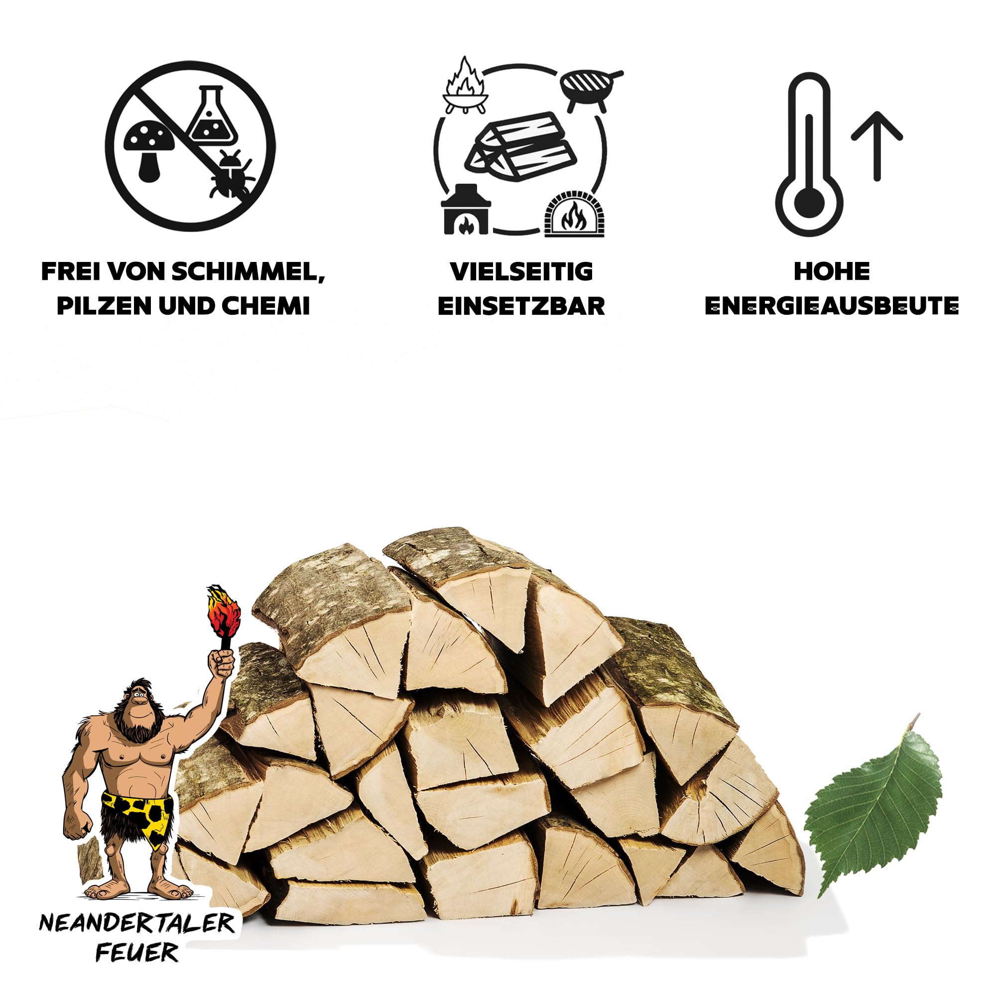 Brennholz Kaminholz Hartholz - 1RM Box 25 cm Holz für Kamin Ofen Pizzaofen Grill Smoker Kaminofen Holzofen | 1 Raummeter Feuerholz Buchenholz auf Palette | Firewood Woodfire