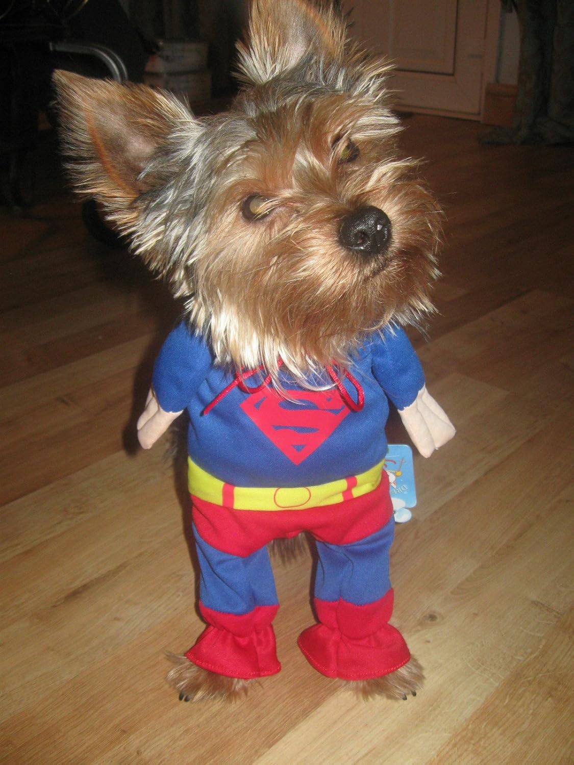 XSMALL Superman Dog Cat Puppy Halloween Costume Clothes Pet Apparel