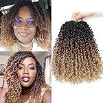 Aksice 10 Inch 8 Packs Yanky Twist Crochet Hair for Women Pre-looped Mini Twist Hair Bohemian Passion Twist Crochet Hair Boho Crochet Braids Synthetic (1B/30/27)