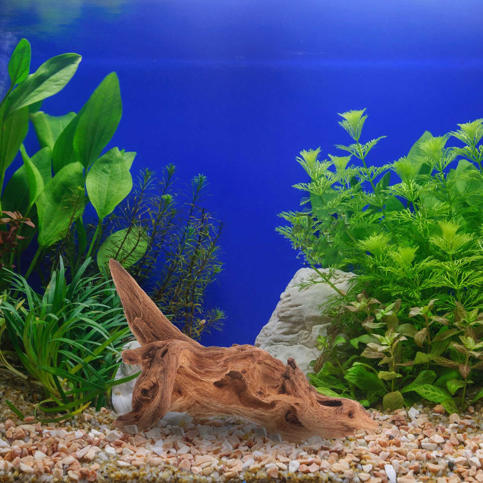 KOMBIUDA Natürliches Totholz Aquarium Dekoration 15 20cm Stabile Moorholz Wurzel Unbedenklich für Wasserbewohner Geeignet für Aquarium und Terrarien