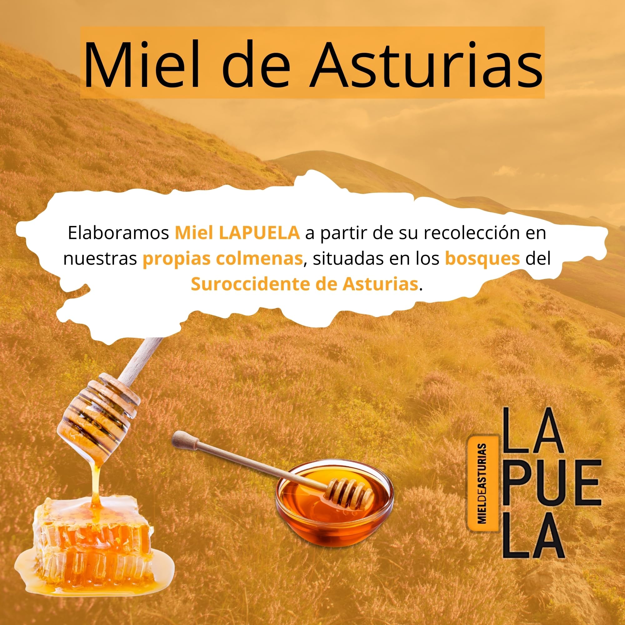 LAPUELA Pack Miel 100% Natural – Sabores Únicos con Beneficios Saludables – Miel Pura Cruda y Artesanal – Producción Tradicional Asturias (2460, Eucalipto/Roble/Brezo/Bosque/Castaño/Madroño)